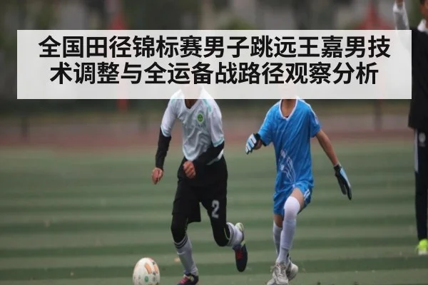 全国田径锦标赛男子跳远王嘉男技术调整与全运备战路径观察分析